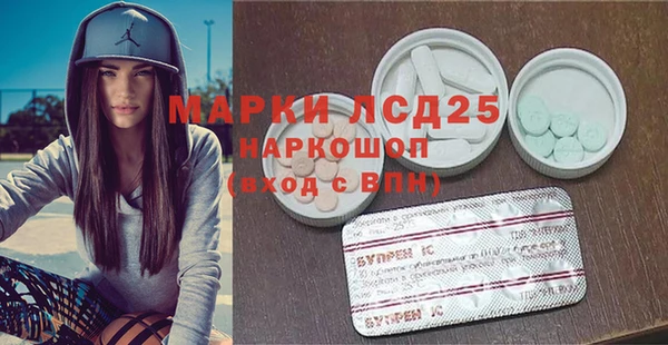 индика Аркадак