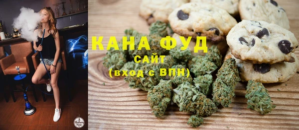 индика Аркадак