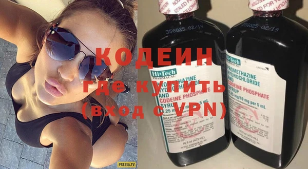 индика Аркадак