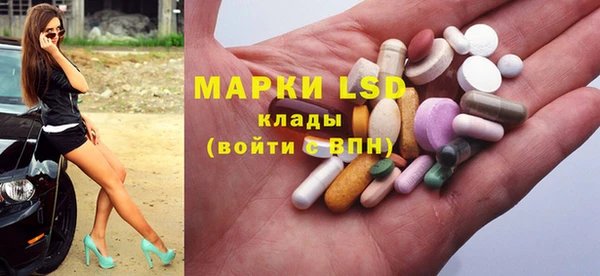 индика Аркадак