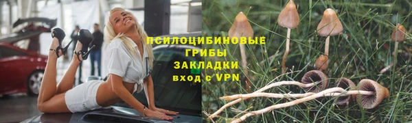 таблы Армянск
