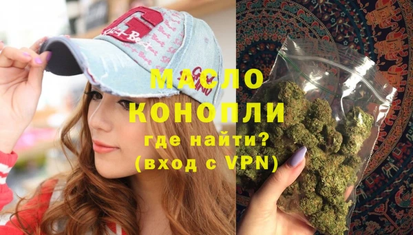 индика Аркадак