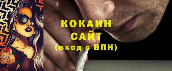 индика Аркадак