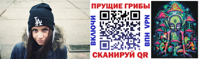 Галлюциногенные грибы Cubensis Сясьстрой
