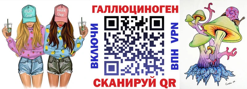 MEGA вход  продажа наркотиков  Сясьстрой  Галлюциногенные грибы Cubensis 